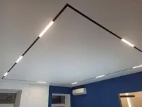 Магнитная трековая система